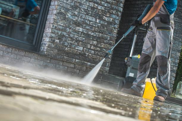 Best Animal Enclosure Cleaning  in St Marys, OH